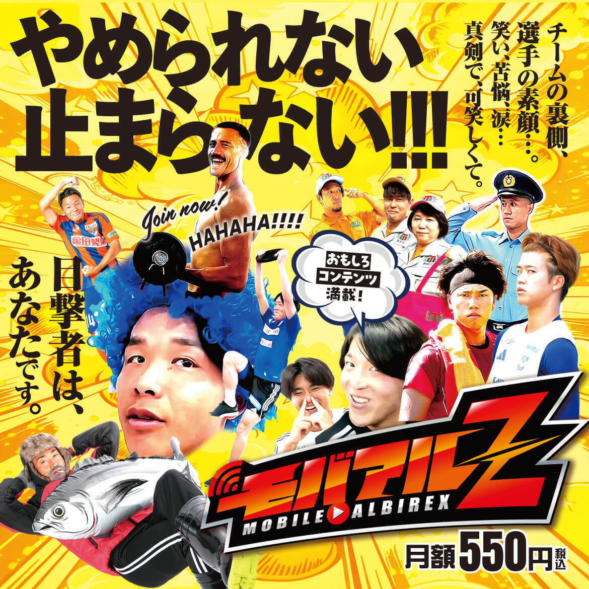 モバイルアルビレックスZ とは？ | モバイルアルビレックスZ