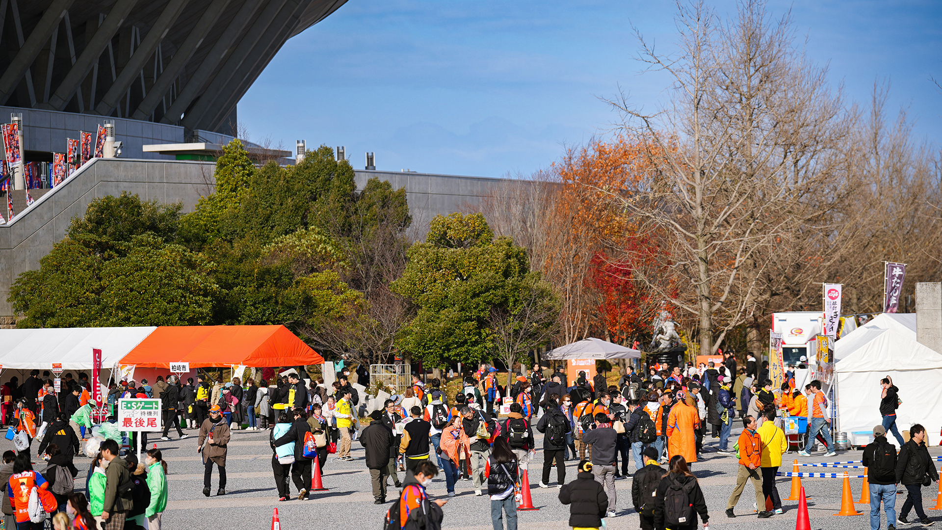 だから来るのよ