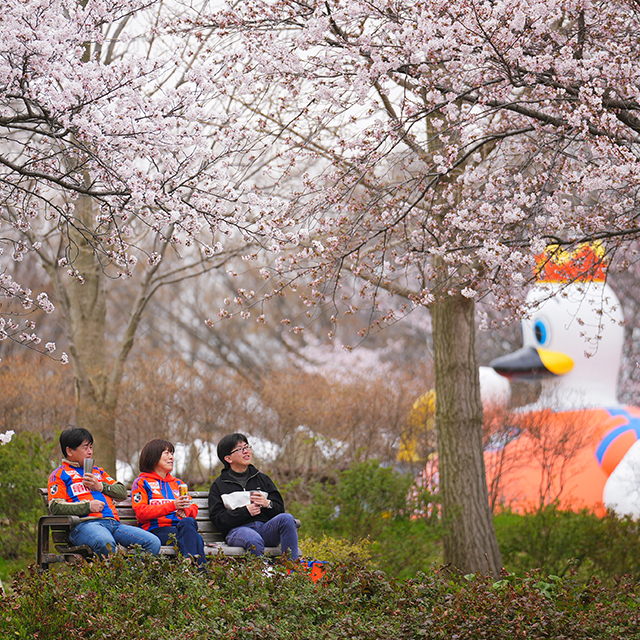 アルビレックス散歩道