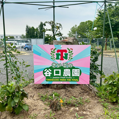 谷口農園